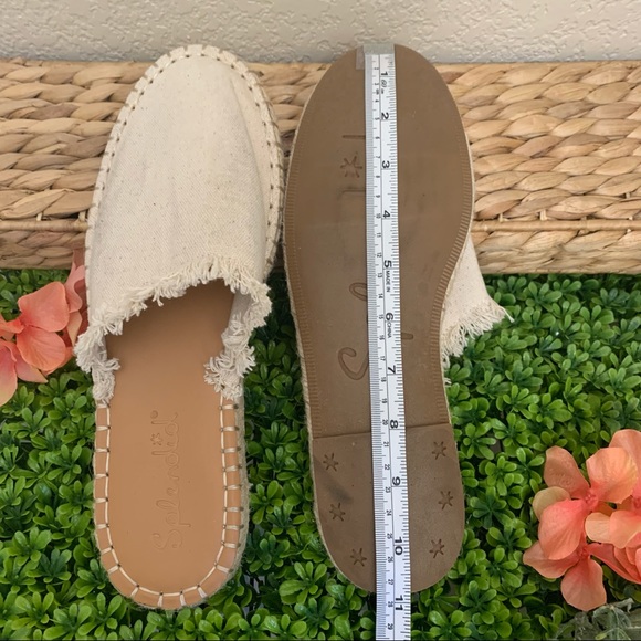 Splendid flats - Picture 7 of 7